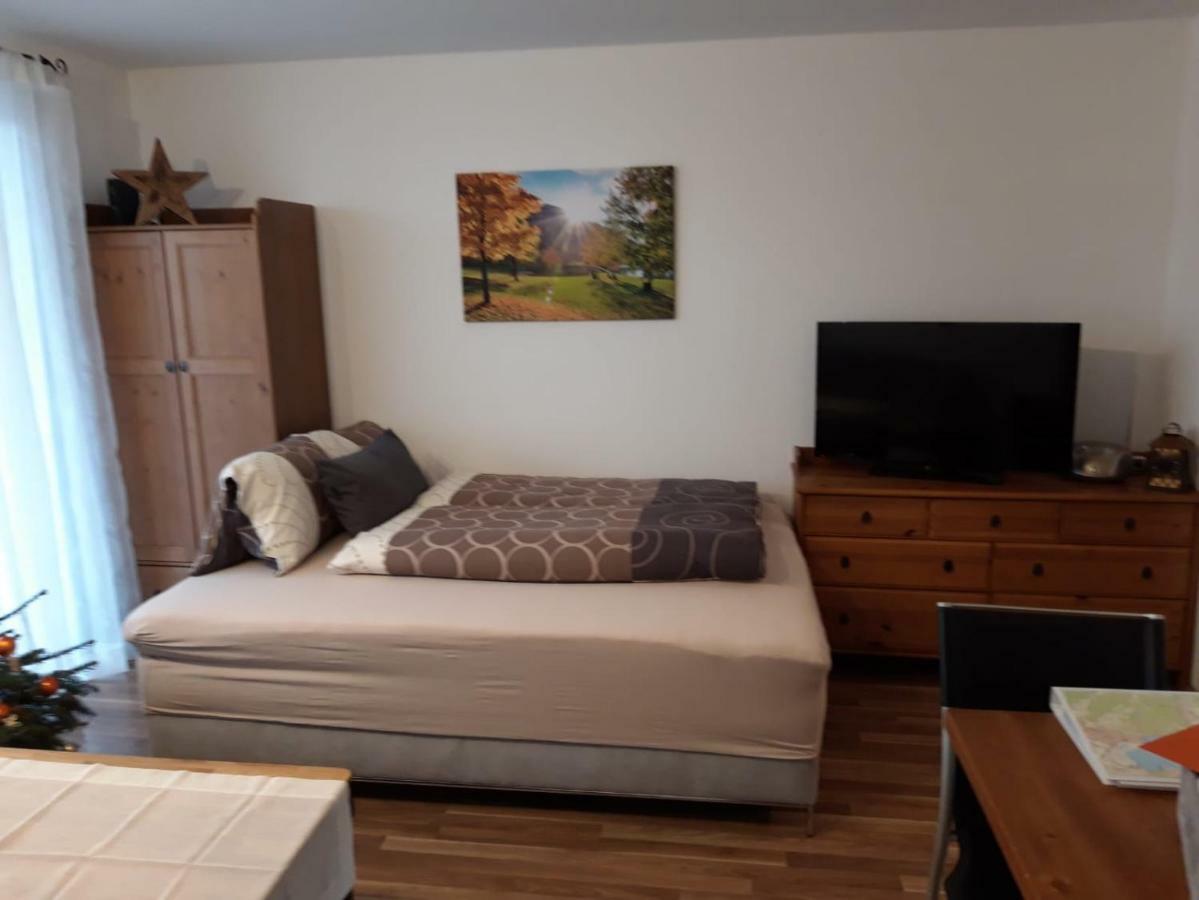 Apartment Kendlbacher 젤암제 외부 사진